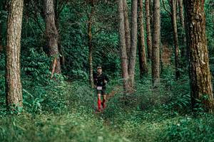 BIB: 
                            <button type="button" onclick="openModal(25237210)" class="btn btn-primary btn-sm float-right btn-popup" data-toggle="modal" data-target=".modal-high-quality">
                        <i class="fas fa-shopping-cart"></i> Add to Cart
                    </button>
                                            <button type="button" onclick="isThisMe(25237210, true)" class="btn btn-success btn-sm float-right btn-popup btn-isme hidden" data-toggle="tooltip" data-placement="bottom" title="นี่คือรูปของคุณใช่ไหม คลิกที่นี่เพื่อเอาเข้าอัลบั้ม">
                        <i class="fas fa-plus"></i> Add to album
                    </button>
                    <button type="button" onclick="isThisMe(25237210, false)" class="btn btn-warning btn-sm float-right btn-popup btn-isnotme hidden">
                        <i class="fas fa-ban"></i> Remove from album
                    </button>